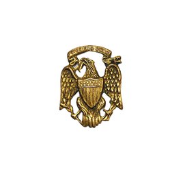 Spanish American War US Army E Pluribus Unum Brass Eagle Pin