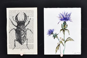 Original Signed Botanical Watercolor & Beetle Ink Drawing On Book Page