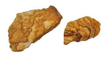 Banded Sandstone Specimens  Natural Iron-Stained Rock Lot (2 Pieces)