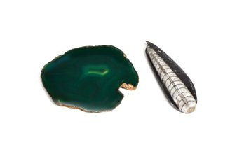 Lot Of 2 Polished Mineral & Fossil Specimens – Green Agate Slice & Orthoceras Fossil