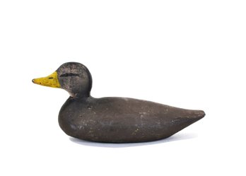 Antique Hand-Carved Black Duck Hunting Decoy