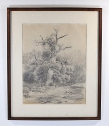 Vintage Charcoal Landscape Drawing Woman Under Tree - Signed & Dated 1949