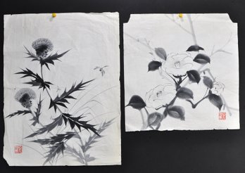 Pair Of Japanese Sumi-e Ink Paintings On Rice Paper – Thistle & Camellia Floral Studies
