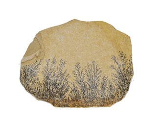 Natural Dendritic Stone Slab With Manganese Fern Inclusions