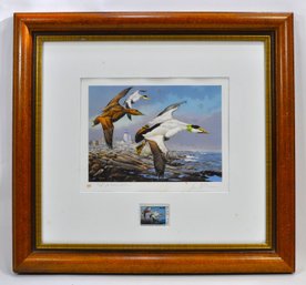 David A. Maass ' Common Eiders' Maine Waterfowl Stamp Print, Signed & Numbered