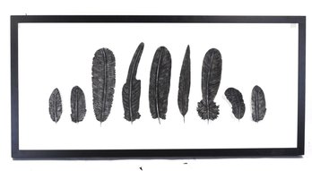 Ethan Allen  ' Black Heirloom Feathers' Large Shadowbox 3-d Display