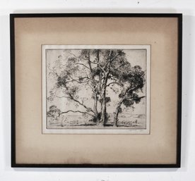 Alfred Hutty (American, 1877-1954) Sycamores Etching, Pencil Signed