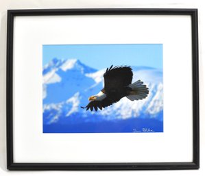 Original Don Pitcher Bald Eagle Photograph, Alaska Wildlife Scene, Signed