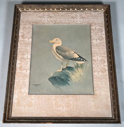 Framed Bird Print By F. Landsdowne (1957)