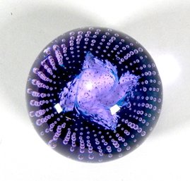 Vintage Caithness Caulbron Scotland Paperweight Signed & Numbered