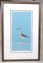 Vintage 'yellow Legs' Signed Bird Etching