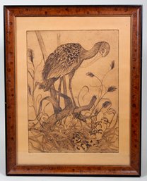 Stacey Back (20th Century) Original Bird Etching