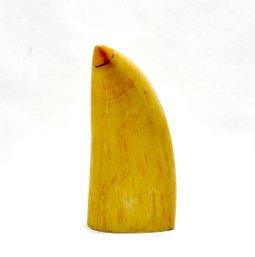 Large Antique 19th Century Whale Tooth