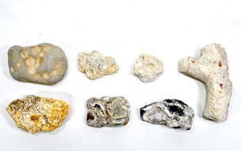 Lot Of Rocks & Fossils