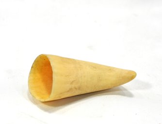 Antique 19th C. Whale Tooth