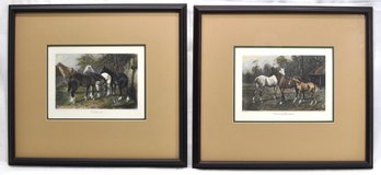 George Wright (1860 - 1942) Pair Of Horse Engravings