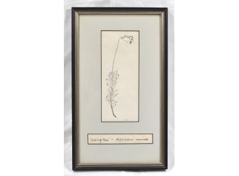 Vintage Framed Botanical Print