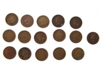 Lot 16 Indian Head Pennies