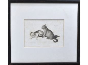 Original Gottfried MIND (1768-1814) Engraving CATS