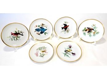 Set 6 Vintage Audubon Bird Plates By Hutschenreuther Selb Bavaria