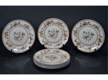 Set Of 8 Vintage CTSI Country Garden Dinner Plates
