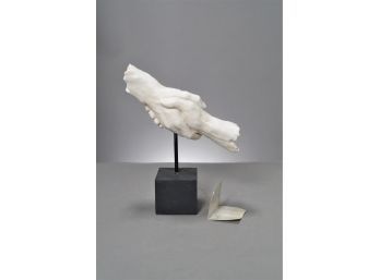 'Shaking Hands' By Vitruvian Collection