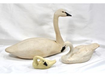 Swan Family Decoys J. Philbrook  Wood Carving
