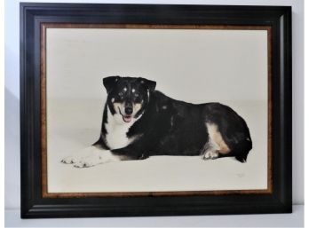 Photographic Print On Board Of Dark-colored Dog