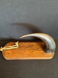 Authentic Rhinoceros Horn Mounted On Wood