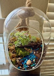 Hanging Glass Vase With Lifelike Artificial Succulents