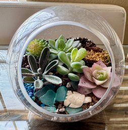 Glass Bowl/vase With Artificial Life Like Succulents