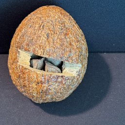 Brazil Nut Pod - Carved So You Can See The Nuts Inside!