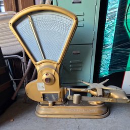 Large Gold Colored 'Toledo' Scale