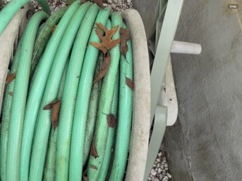 Ames Hose Reel & Garden Hose