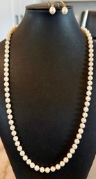 Asian 14K Gold Clasp 24 Inch Akoyo Pearl Necklace With Matching 14K Gold & Pearl Earrings