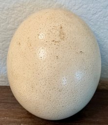 Vintage Large Hollowed Out Ostrich Egg