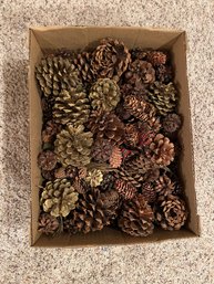Box Full Of Pinecones For Crafting - Some Painted Gold