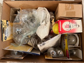 Box Full Of Light Bulbs