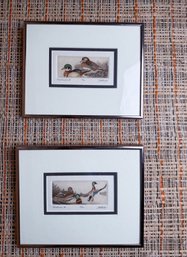 PAIR OF AQUATINT PRINTS - WOOD DUCKS AND MALLARDS