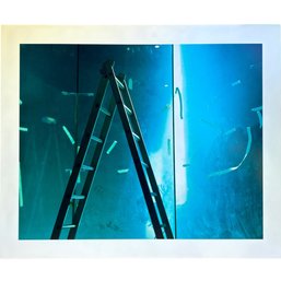 BEN HASSETT, 2008 Large Chromogenic Print On Aluminum