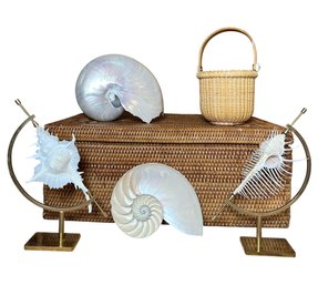 Shell And Rattan Desktop Decor