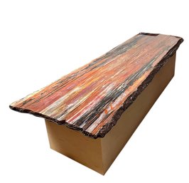 Polished Slab Of Petrified Wood On Wood Base (not Attached), #1