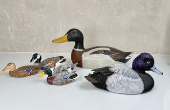 Decoy Duck Collection
