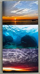 Sea Scape Prints