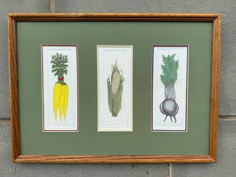 Vegetables, Three Framed Etchings, Signed And Numbered