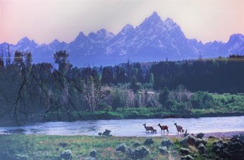 Signed Photographic Print Of The Grand Tetons Printed On Acrylic