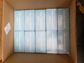 Disposable Gloves (Large) C2