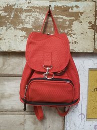 Small Red Backpack D2
