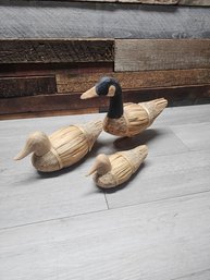 Lot Of Wood Ducks A5