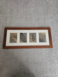 Signed Framed Botanical Artwork C17